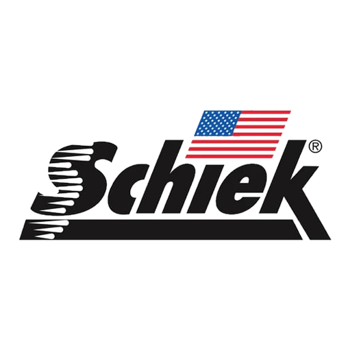 Schiek