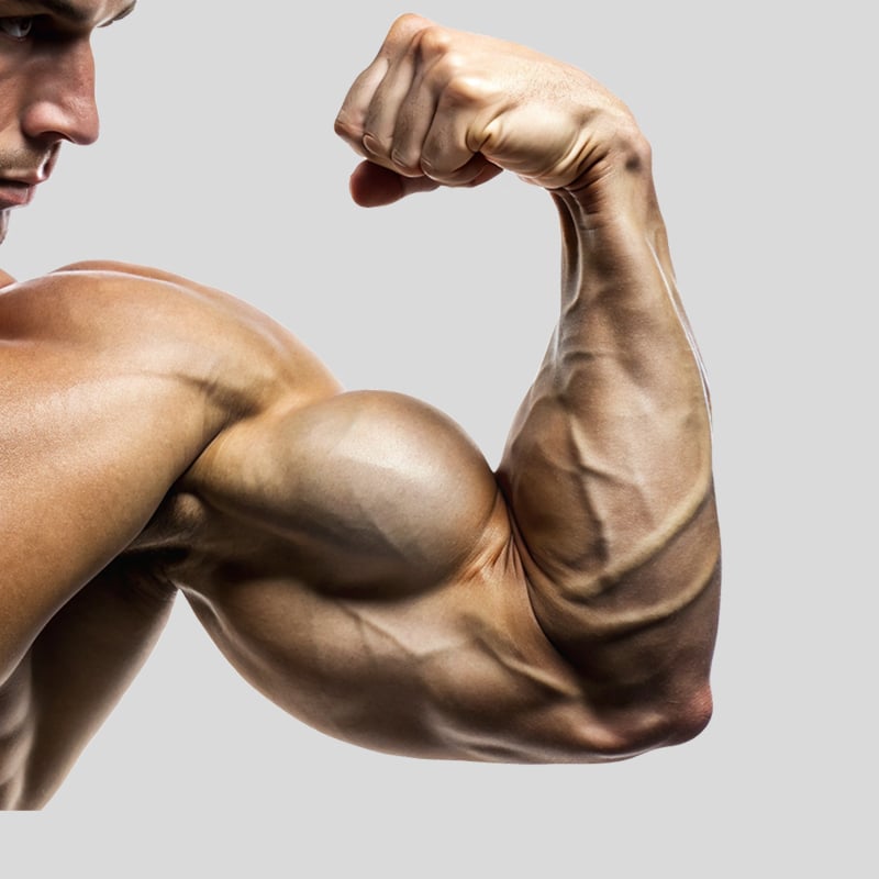 Weight Gainers